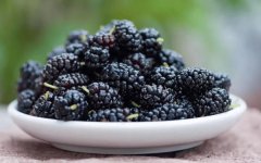 女子边采摘桑葚边吃回家一泡满是虫子！